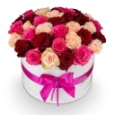 Květinový box růží